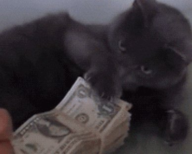 6 глупых мыслей, из-за которых вы навсегда останетесь бедным