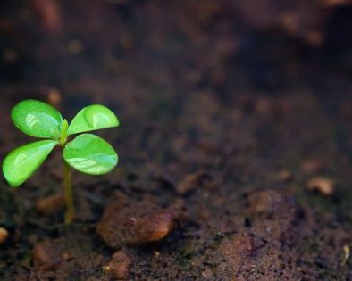 5 самых странных способов заработка