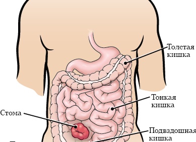 Какие приборы выключить перед отъездом в отпуск