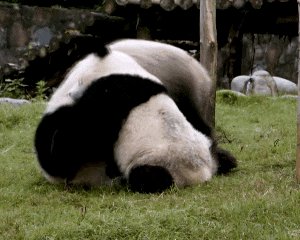 Как не ругаться из-за денег в семье и жить так, чтобы на всё хватало