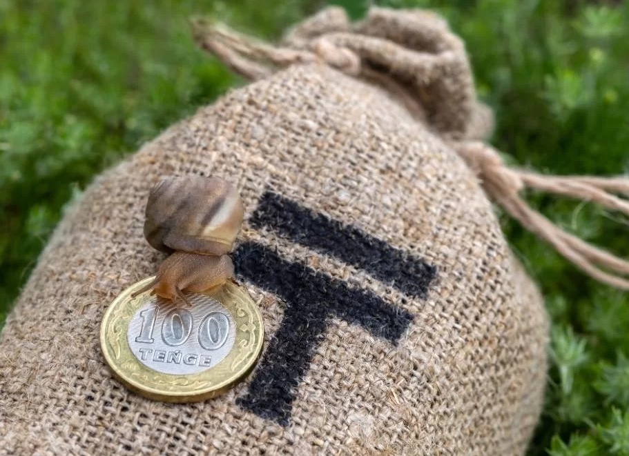 9 способов экономить на платных подписках